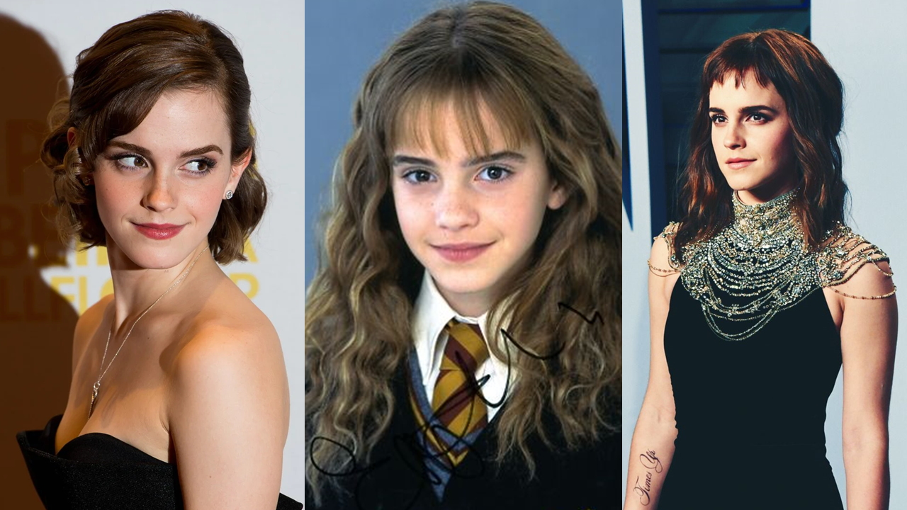 Emma Watson et Dan Stevens : Analyse d'une Belle et la Bête Réinventée