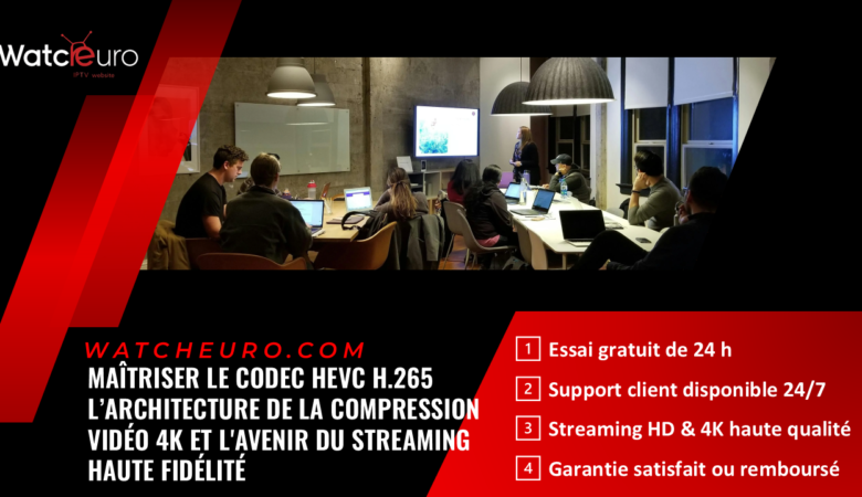 Maîtriser le Codec HEVC H.265 : L’Architecture de la Compression Vidéo 4K et l&rsquo;Avenir du Streaming Haute Fidélité