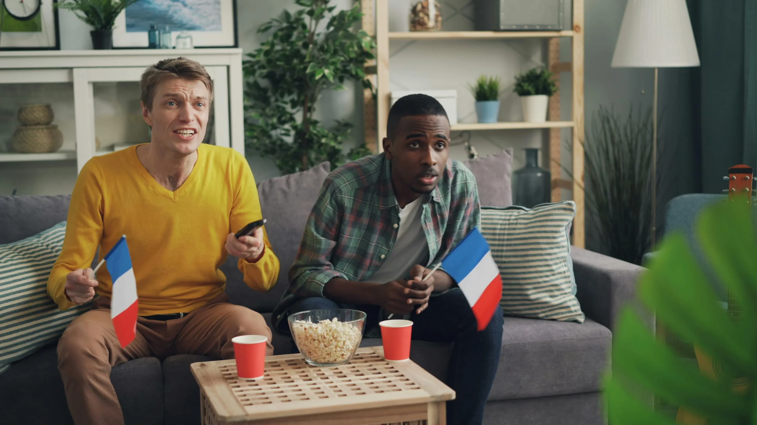 Deux supporters agitant des drapeaux français devant un match de football à la télévision